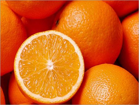 Fresh Orange Supplier For Middle East High Juice Citrus