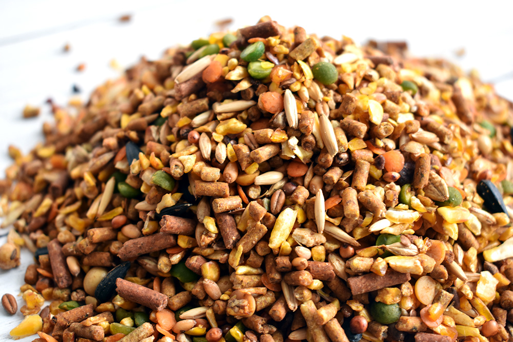 Organic Chicken Feed