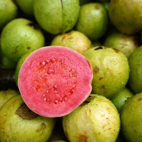 Fresh Guava Supplier For UAE Pink White Guava Export
